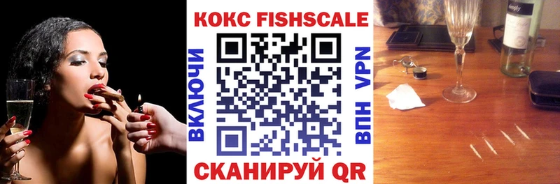 закладки  Славгород  OMG ССЫЛКА  Cocaine FishScale 
