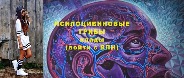 дживик Арсеньев