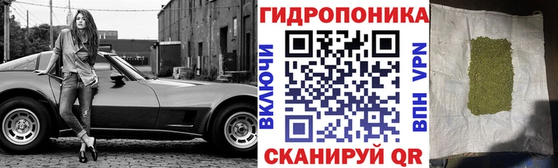 Бошки марихуана план  это телеграм  Славгород 
